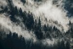 山