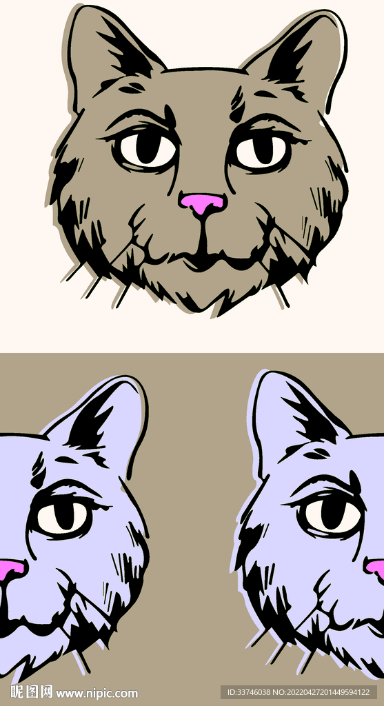 猫