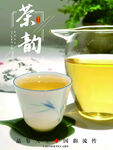 普洱茶