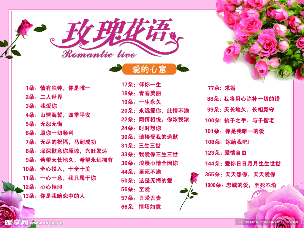 玫瑰花语