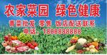 绿色健康蔬菜 海报