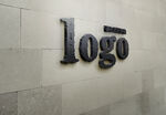 墙面LOGO展示样机 