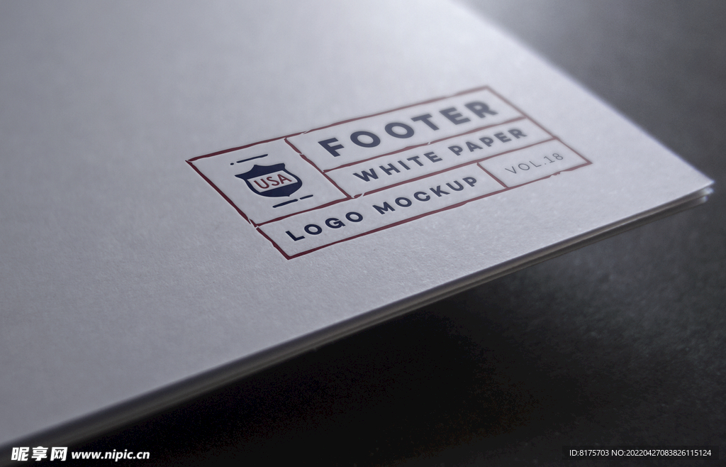 LOGO展示样机