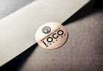 LOGO展示样机