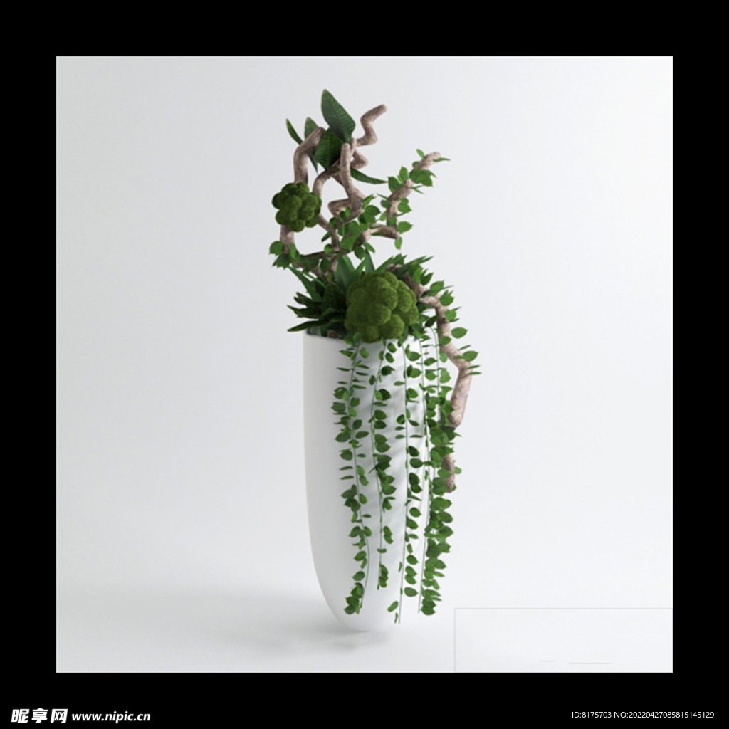 花瓶植物模型
