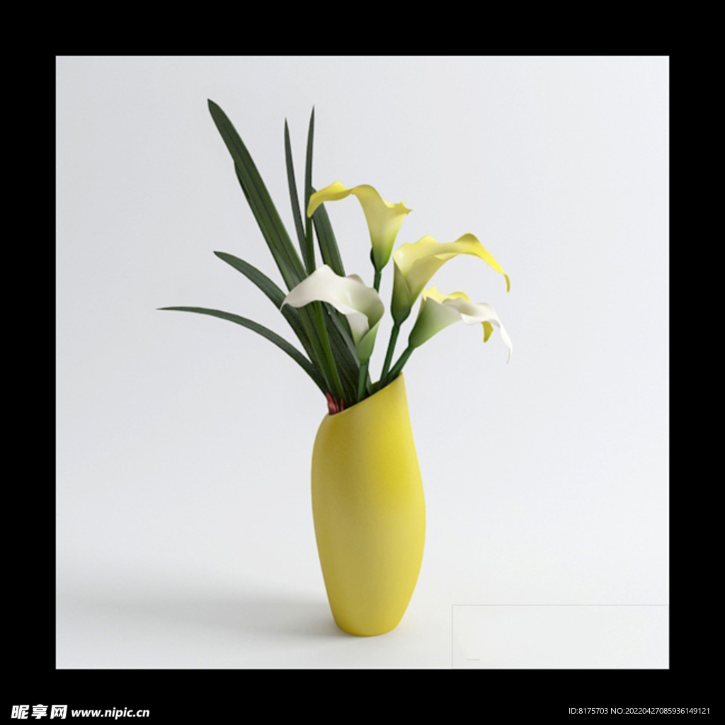 花瓶植物模型