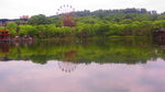 公园风景素材  湖岸美景 池塘