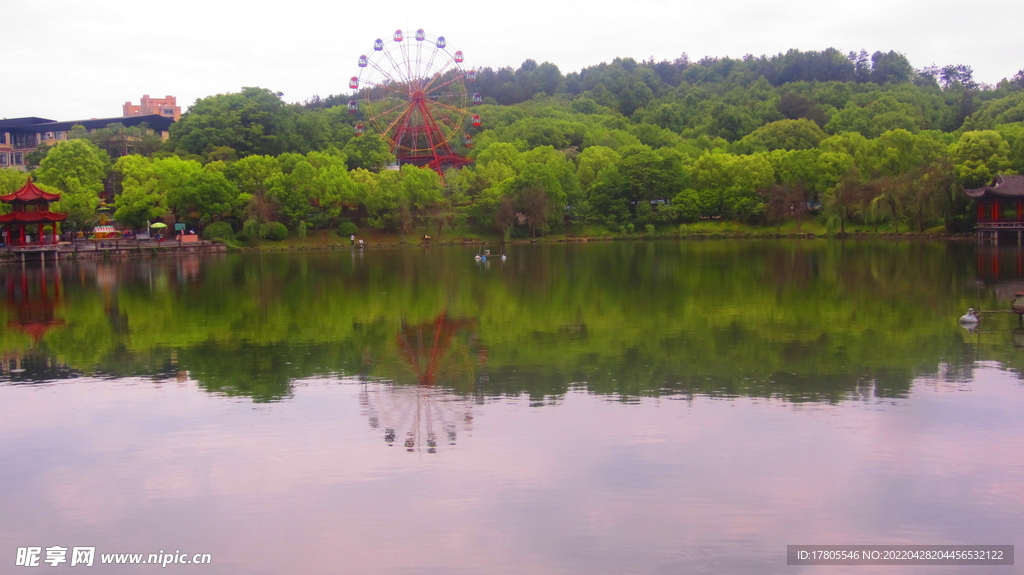 公园风景素材  湖岸美景 池塘