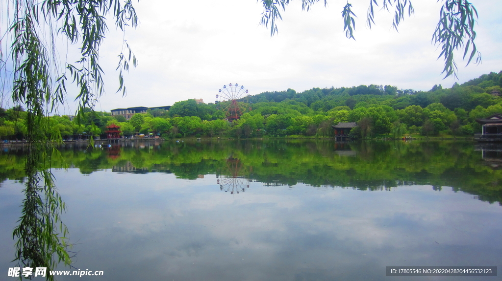 柳条树枝 垂钓素材  公园风景