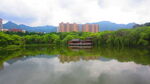 公园风景素材  湖岸美景 池塘