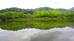 公园风景素材  湖岸美景 池塘