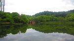 公园风景素材  湖岸美景 池塘
