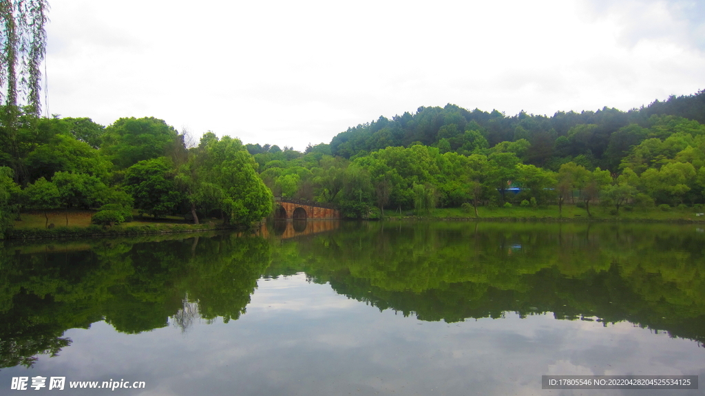 公园风景素材  湖岸美景 池塘