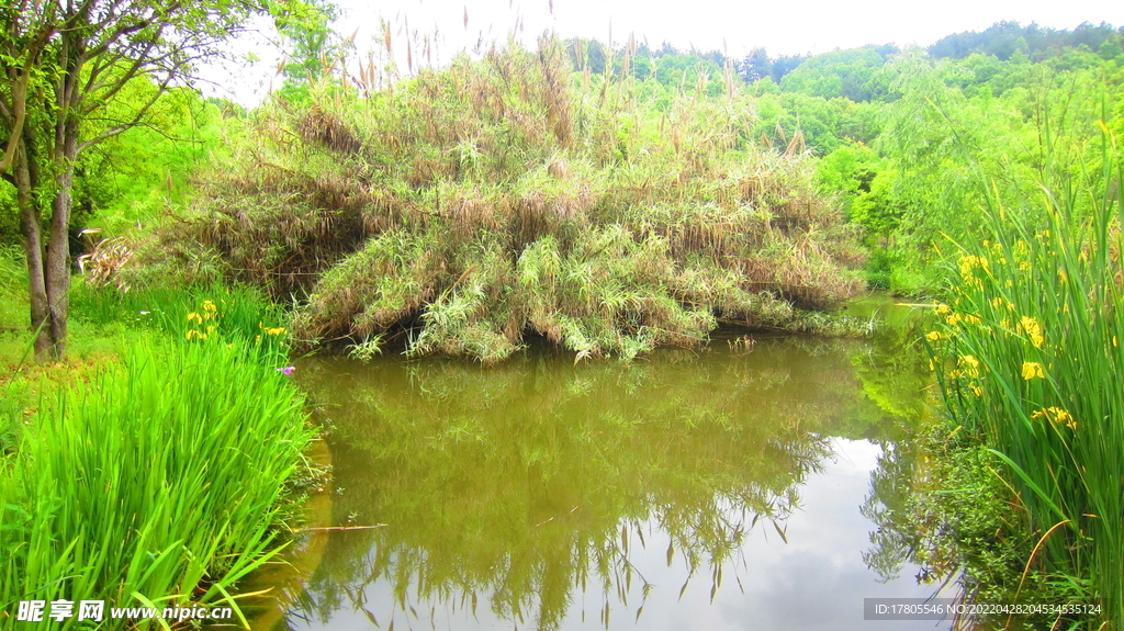 公园风景素材  湖岸美景 池塘