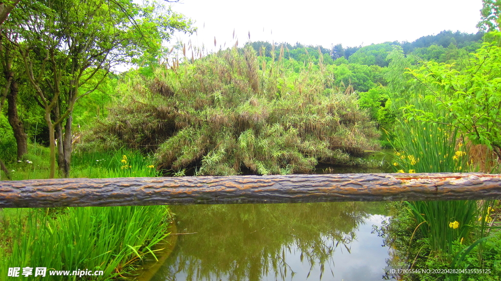 公园风景素材  湖岸美景 池塘