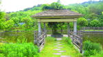 公园风景素材  湖岸美景 池塘