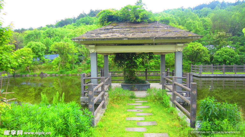 公园风景素材  湖岸美景 池塘