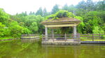 公园风景素材  湖岸美景 池塘