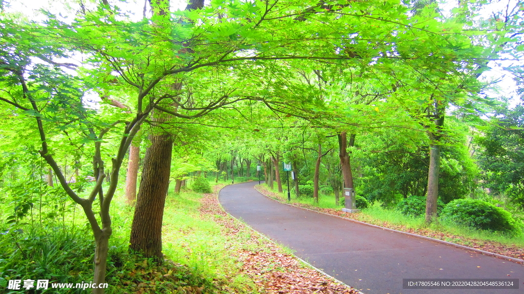 公园风景素材   美景  景色