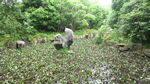 公园风景素材  湖岸美景 池塘