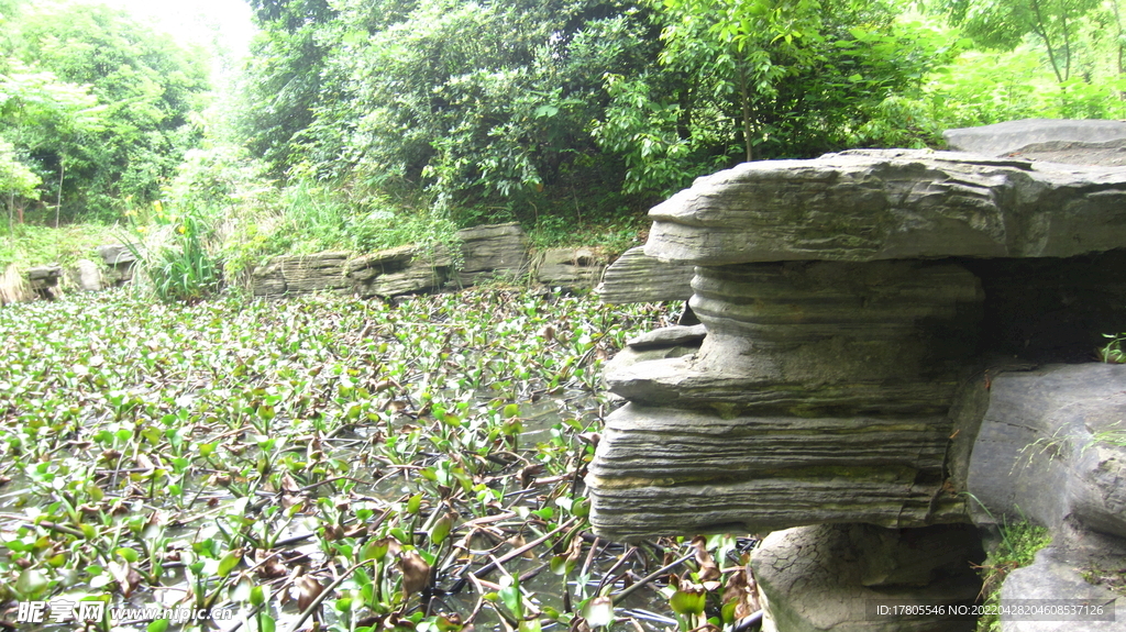 公园风景素材  湖岸美景 池塘