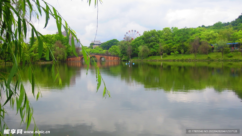 柳条树枝 垂钓素材  公园风景