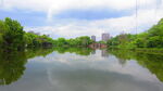 公园风景素材  湖岸美景 池塘