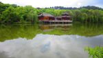 公园风景素材  湖岸美景 池塘