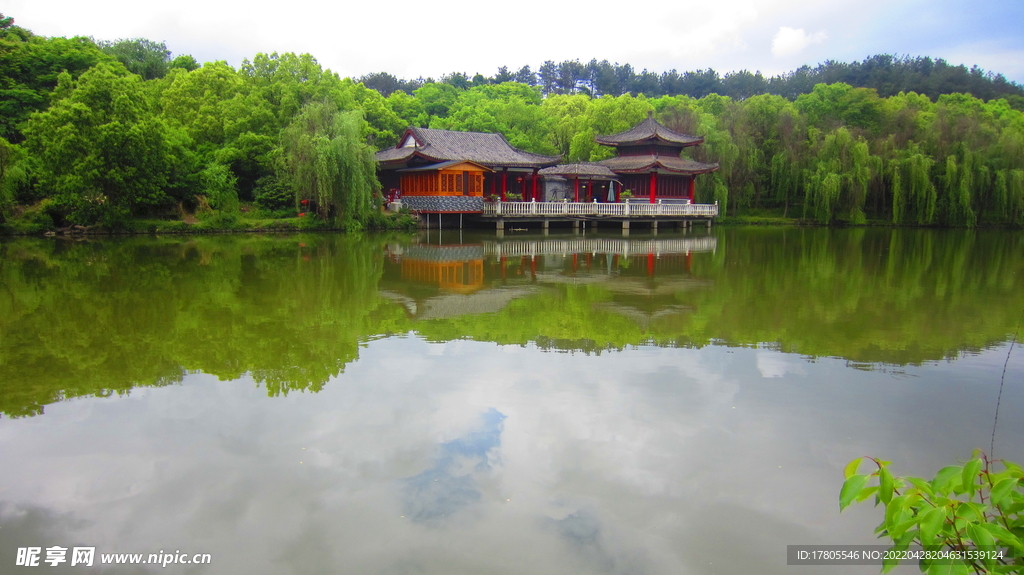 公园风景素材  湖岸美景 池塘