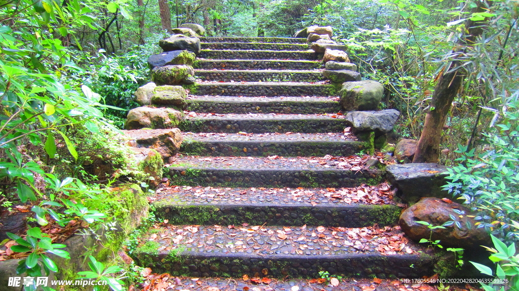 复古阶梯 楼梯 公园风景素材 