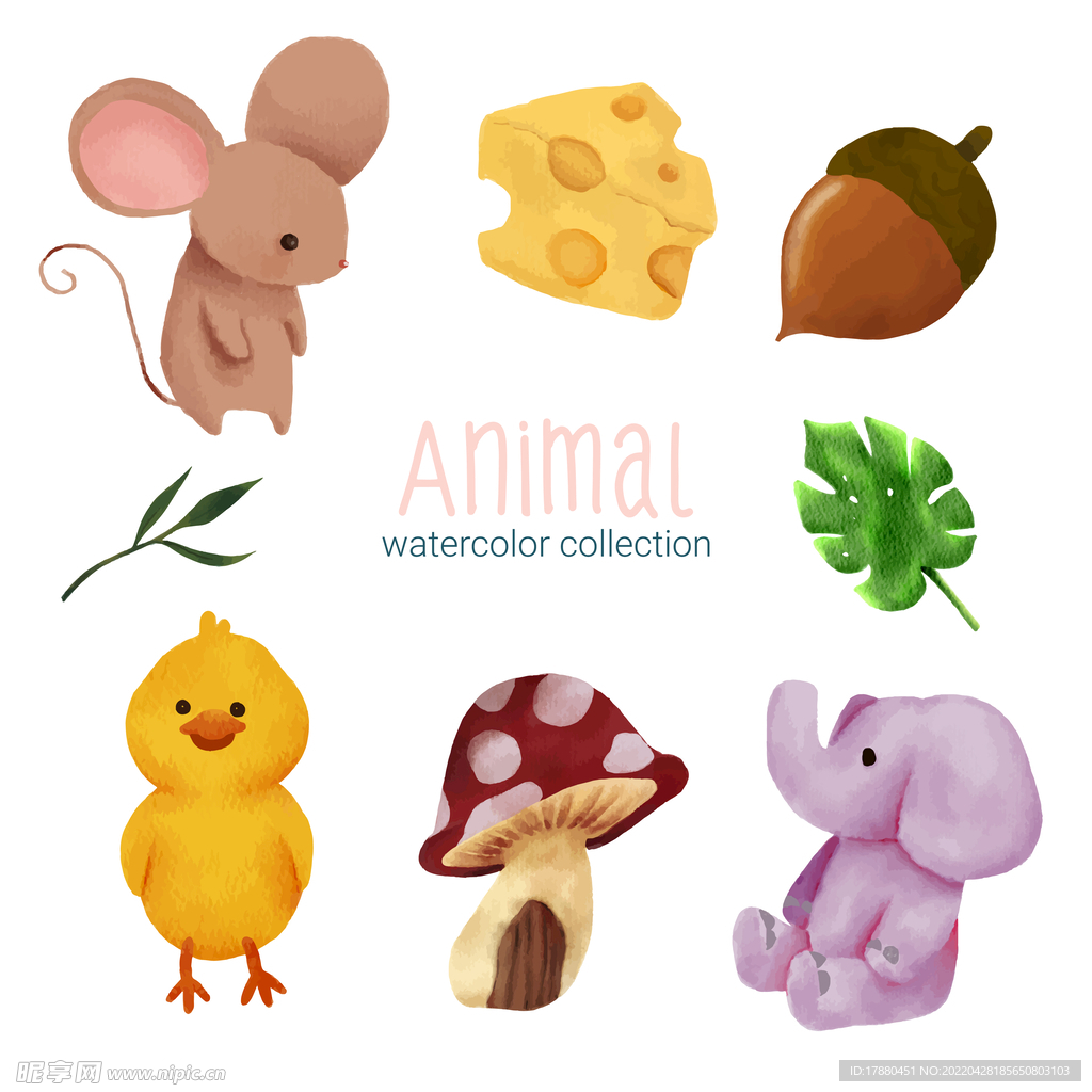 可爱水彩动物插图