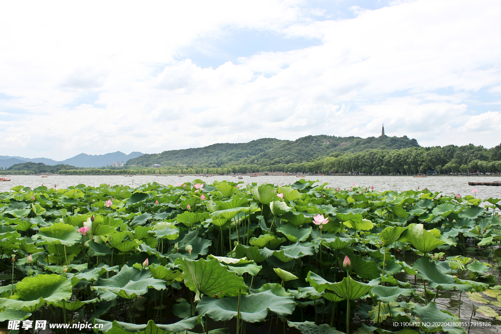 西湖美景
