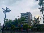 雨后天晴