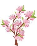 桃花盛开