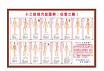 人体十二经络穴位图