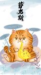 萌主猫            