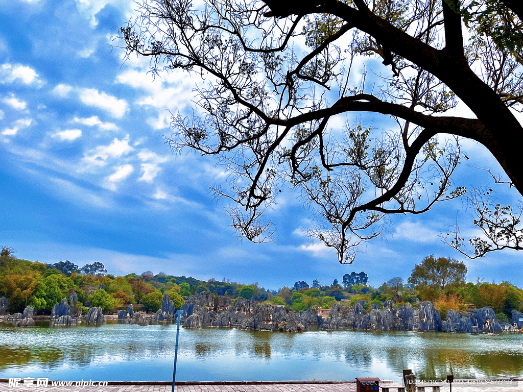 云南石林风景