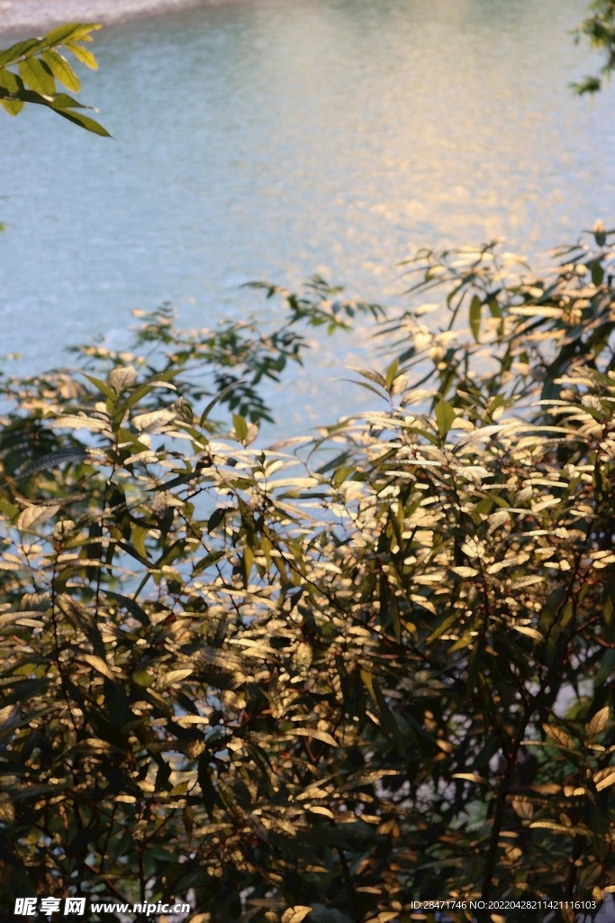 河面图片 波光粼粼 夕阳湖面