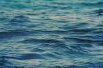 海洋