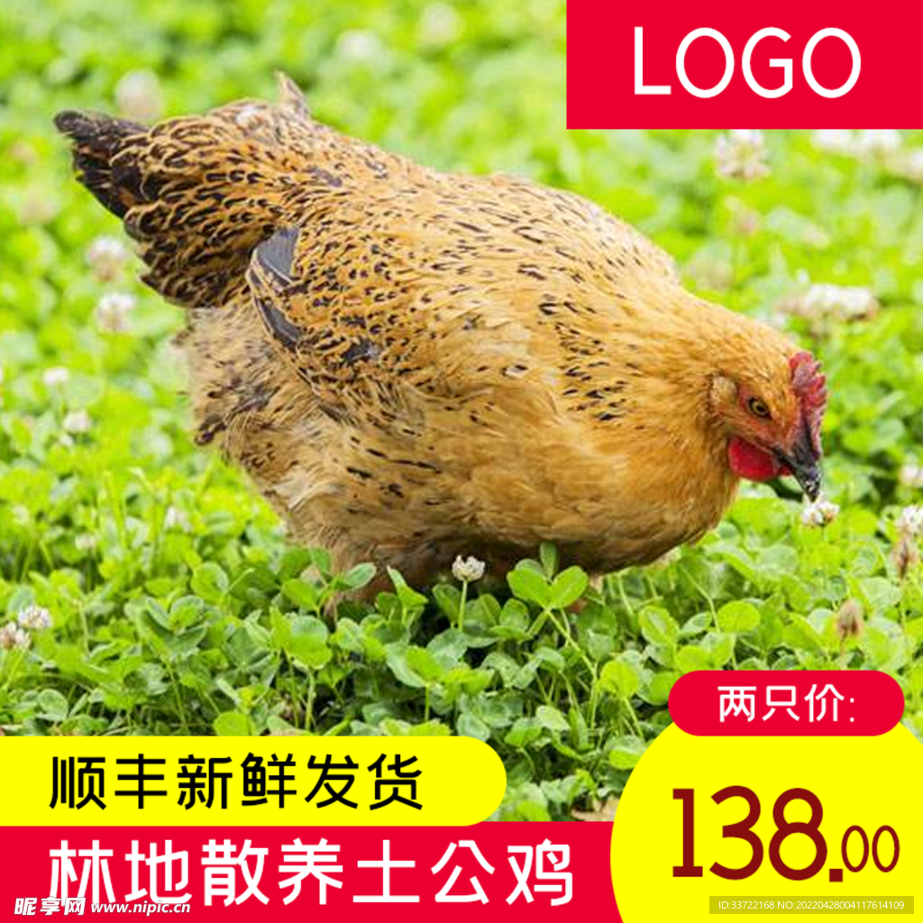 食品主图