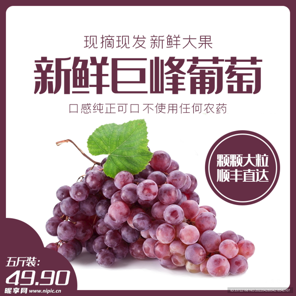 食品主图