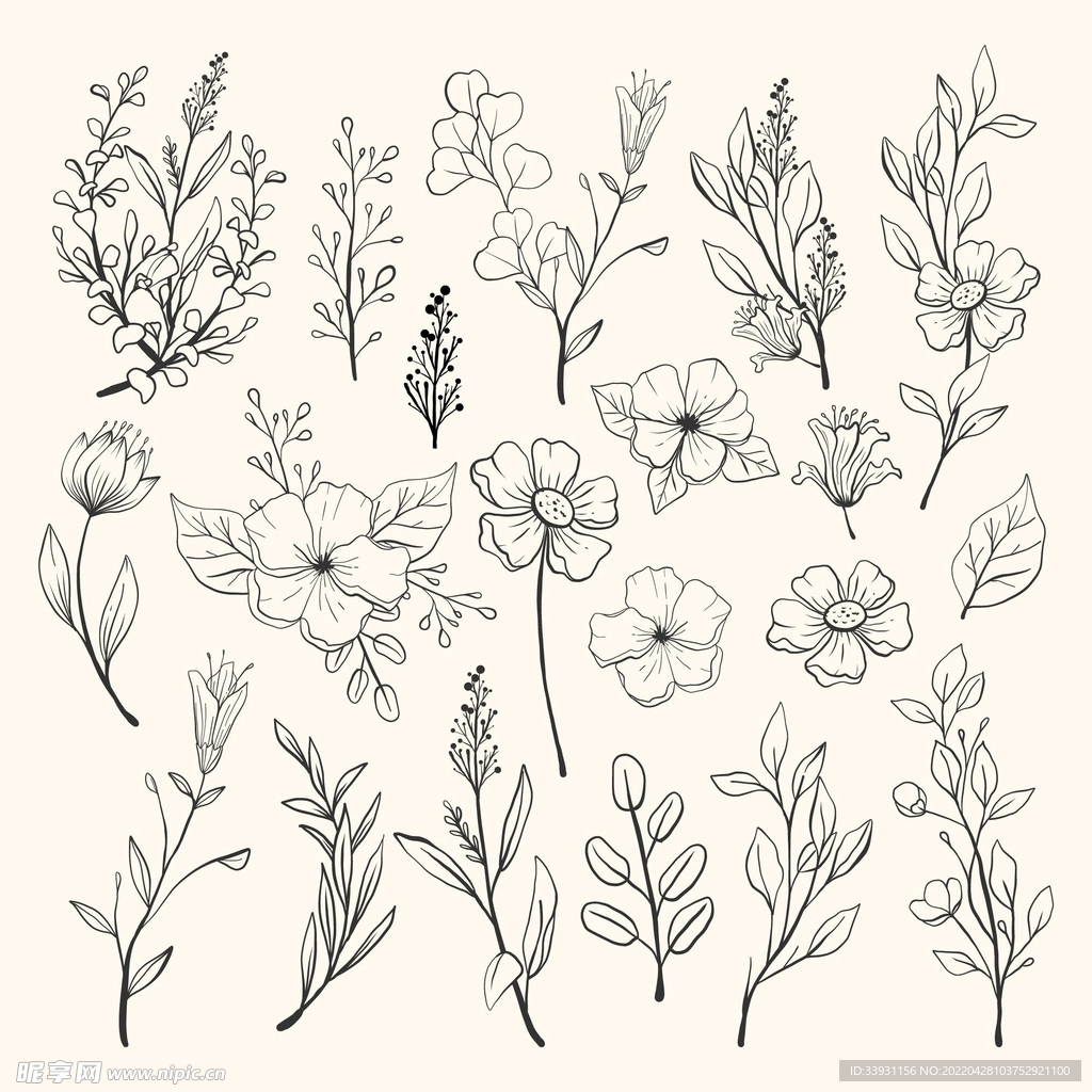 矢量线稿花
