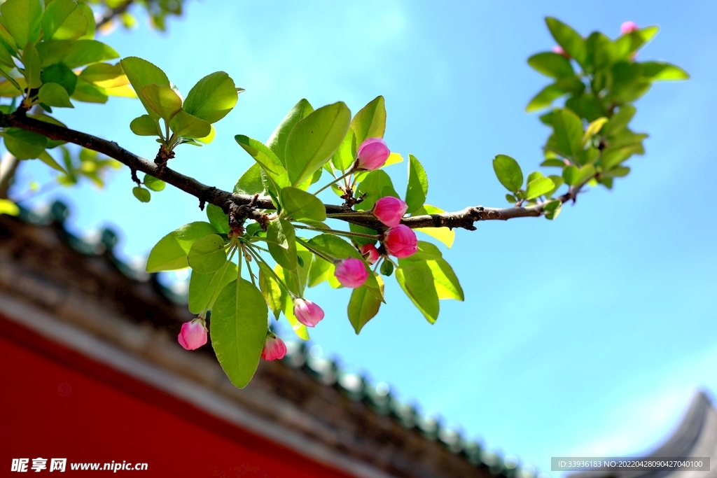 春季