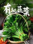 有机蔬菜