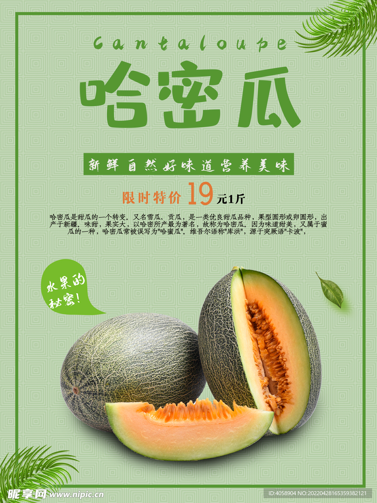 哈蜜瓜