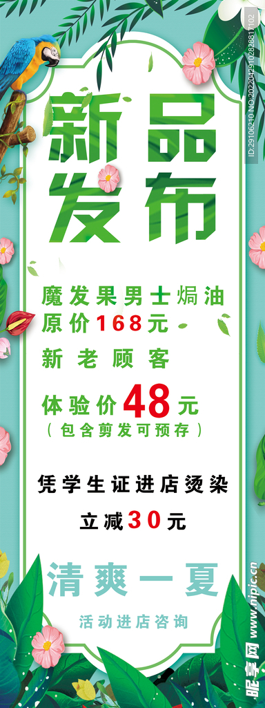 新品发布