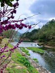 河边风景