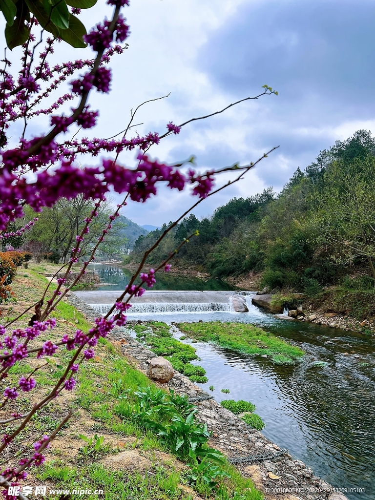 河边风景