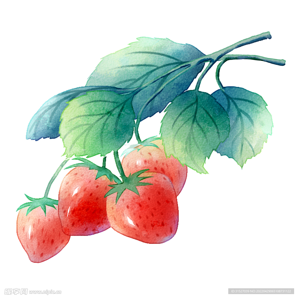 手绘卡通水彩水果草莓 