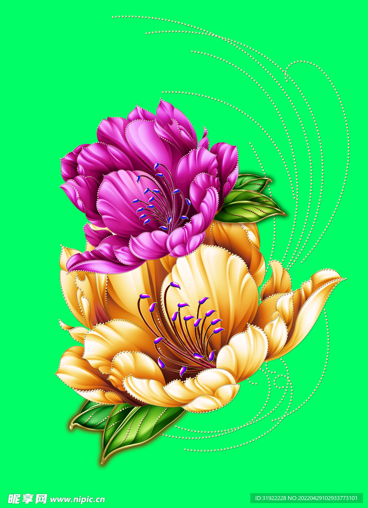 牡丹花